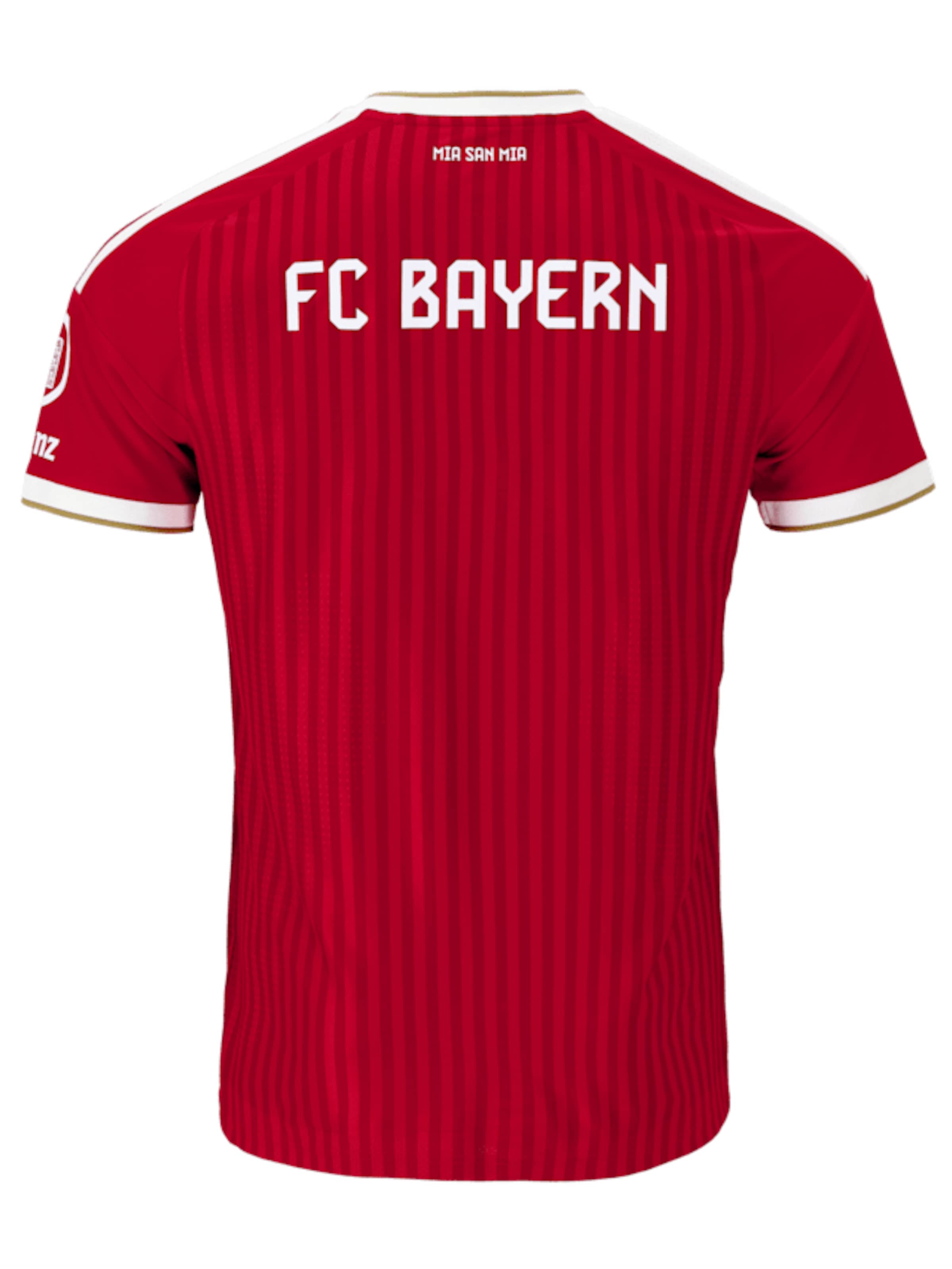 ADIDAS PERFORMANCE - Camiseta de fútbol 'FC Bayern München 26/27 Authentic' en rojo