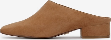 KazarKlompe - smeđa boja: prednji dio