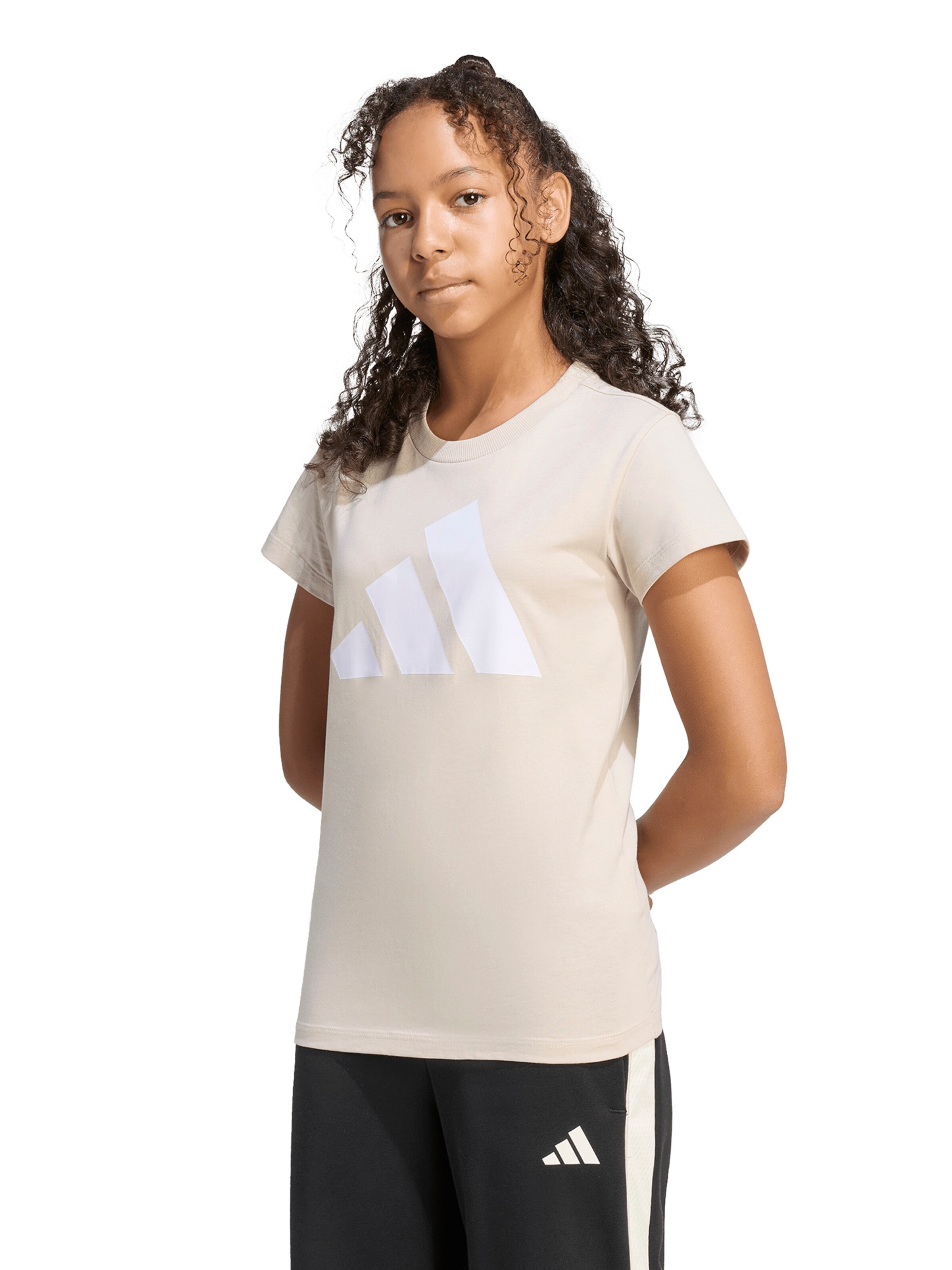 ADIDAS SPORTSWEAR Функциональная футболка 'BL 160' в Серый: спереди