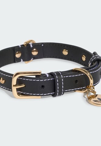 ADIDAS ORIGINALS - Acessórios para animais 'PET' em preto