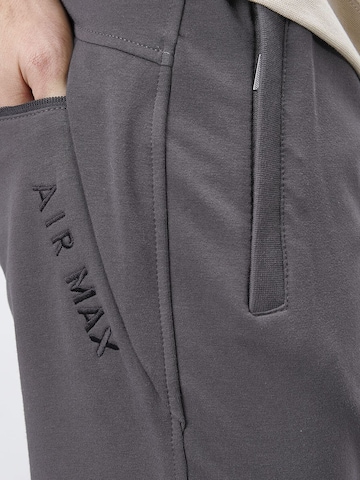 Skinny Pantalon Tommy Life en gris
