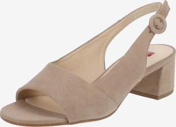 Högl Strap Sandals in Beige: front