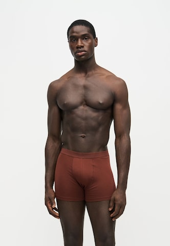 ABOUT YOU Boxer shorts 'Falk' in Grey