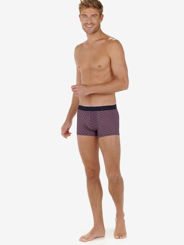 HOM Boxershorts in Blauw