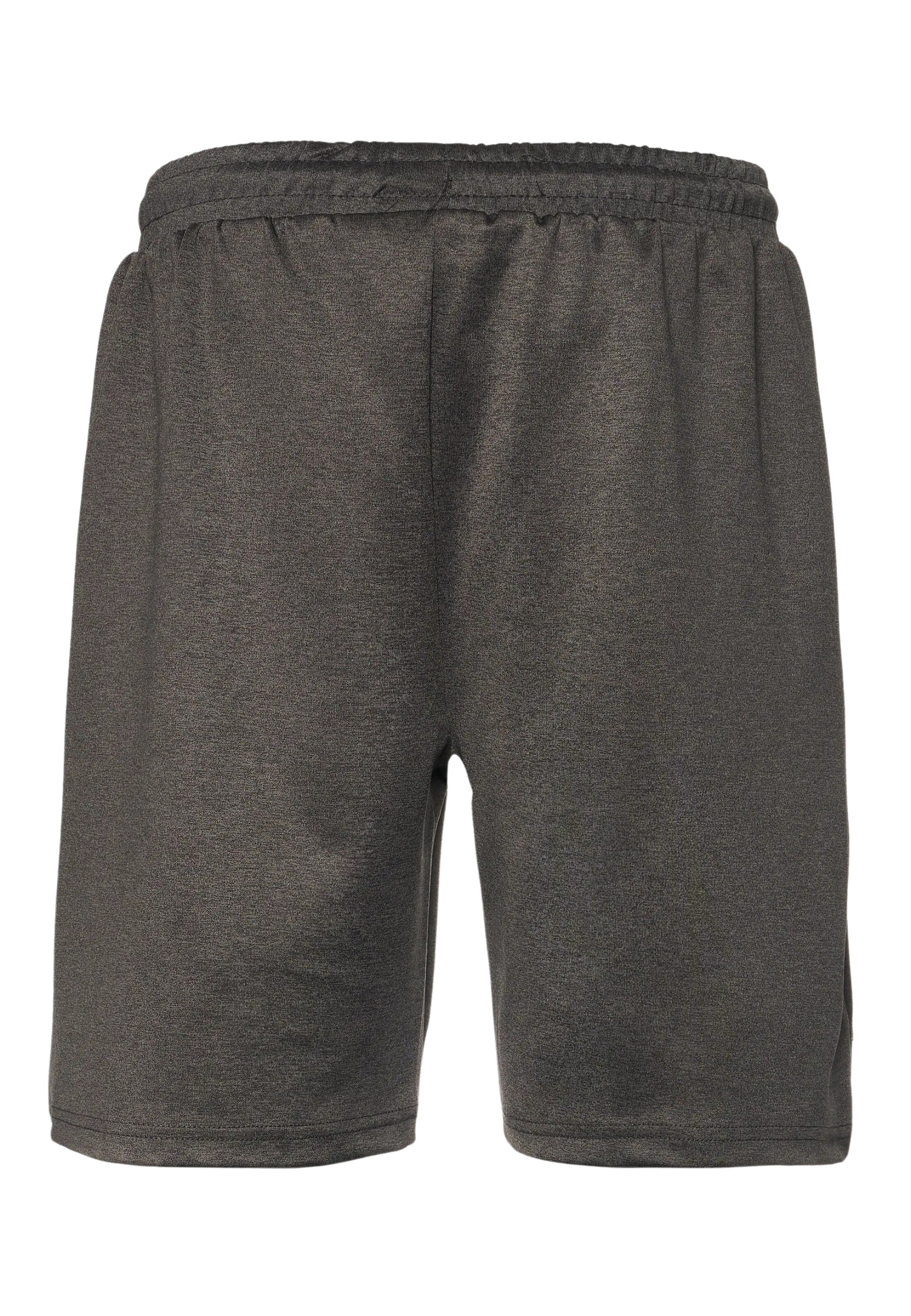 regular Pantaloni di European League of Football in grigio