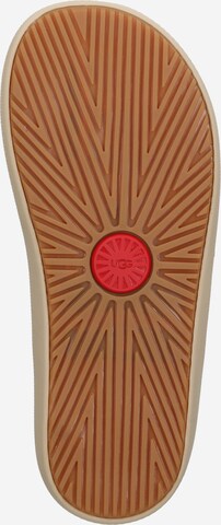 UGG T-Bar Sandals 'BROOKSIDE II' in Brown