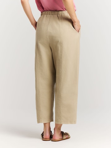 PROTEST Regular Trousers 'PRTOlympic' in Brown
