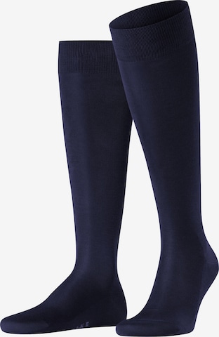 FALKE Knee High Socks 'Tiago' in Blue: front