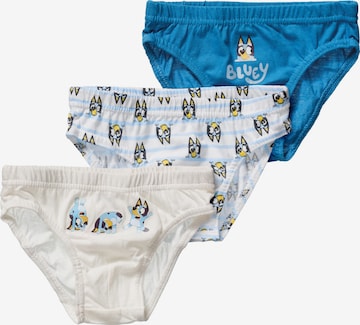 Bluey Onderbroek ' Bluey ' in Gemengde kleuren: voorkant