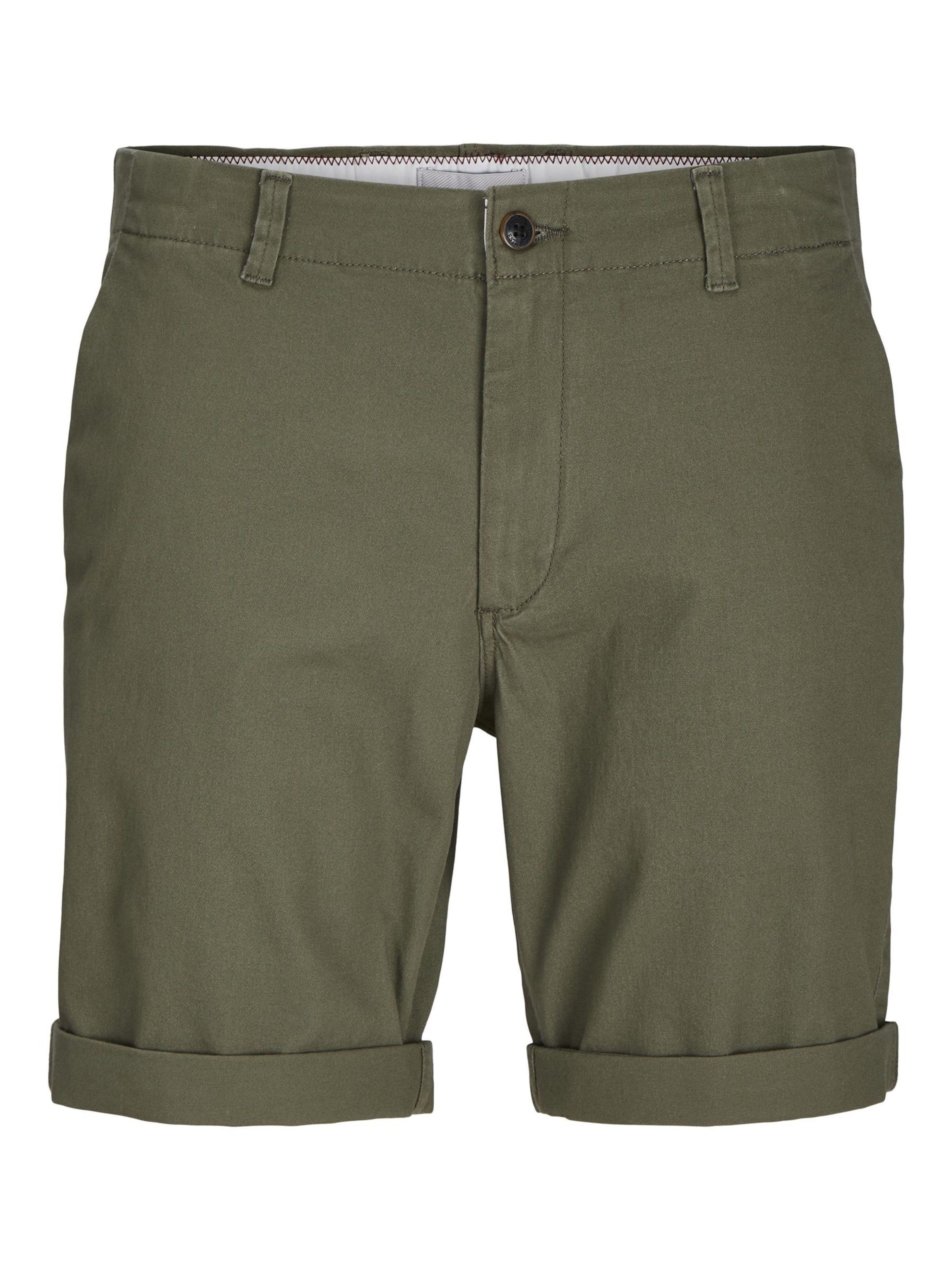 Jack & Jones Plus Regular Shorts 'JPSTDave' in Grün: Vorderseite