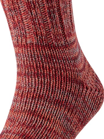 FALKE Socks 'Brooklyn' in Orange