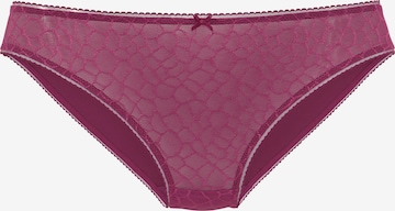 LASCANA Panty in Purple: front