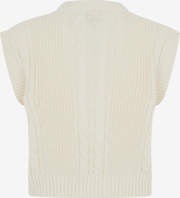 DICKIES Sweater in Beige