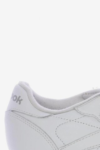 Reebok Sneakers & Trainers in 38 in White