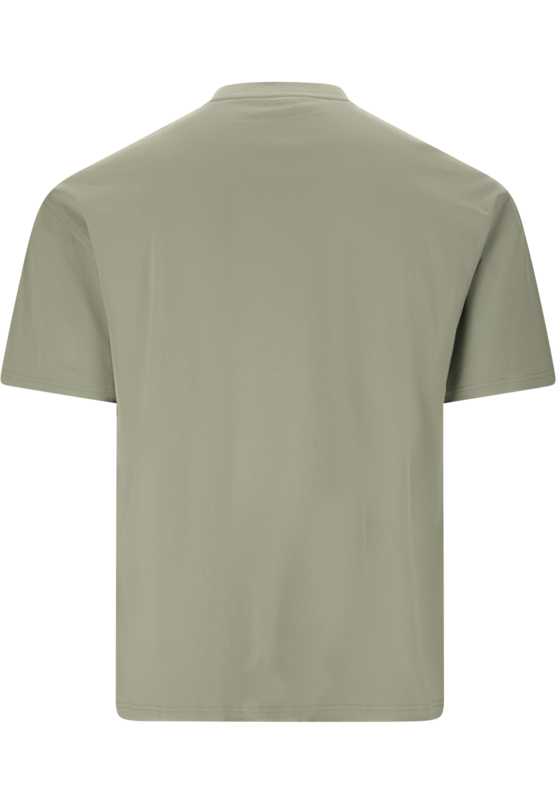 Virtus T-Shirt 'Roake V2' in Grün