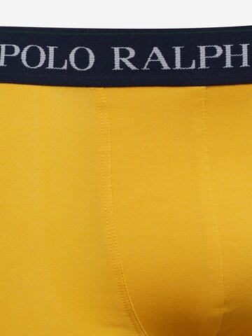 Polo Ralph Lauren Boxeralsók 'Classic' - vegyes színek