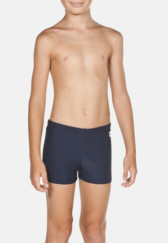 ARENA Board Shorts 'DYNAMO' in Blue