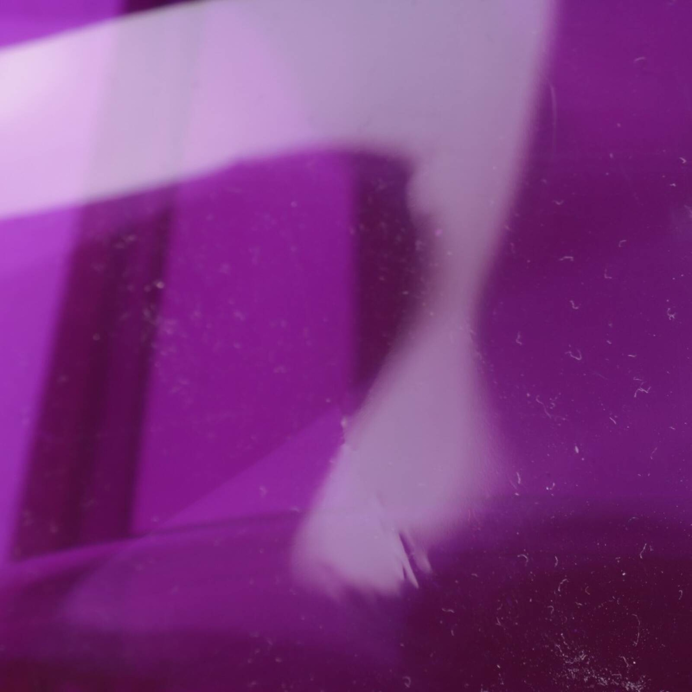 Coccinelle Bag in One size in Purple