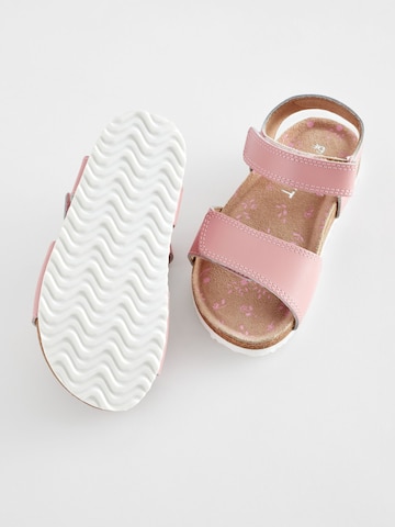 Next - Sandalias en rosa