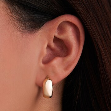 Beloro Jewels Oorbellen in Goud
