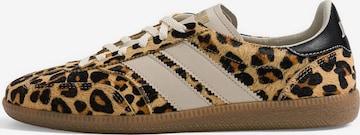 Caval Platform trainers ' PULSE ' in Brown
