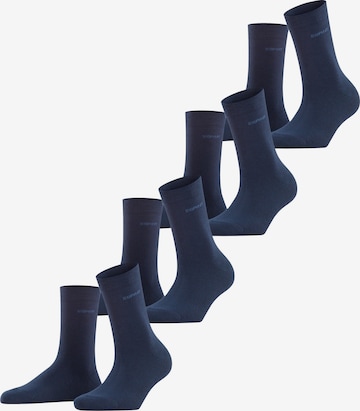 ESPRIT Socken 'Solid 4-Pack' in Blau: Vorderseite