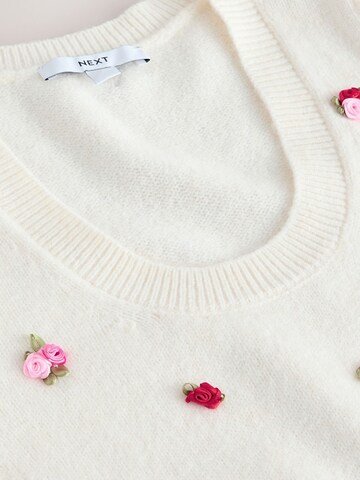 balta Next Megztinis