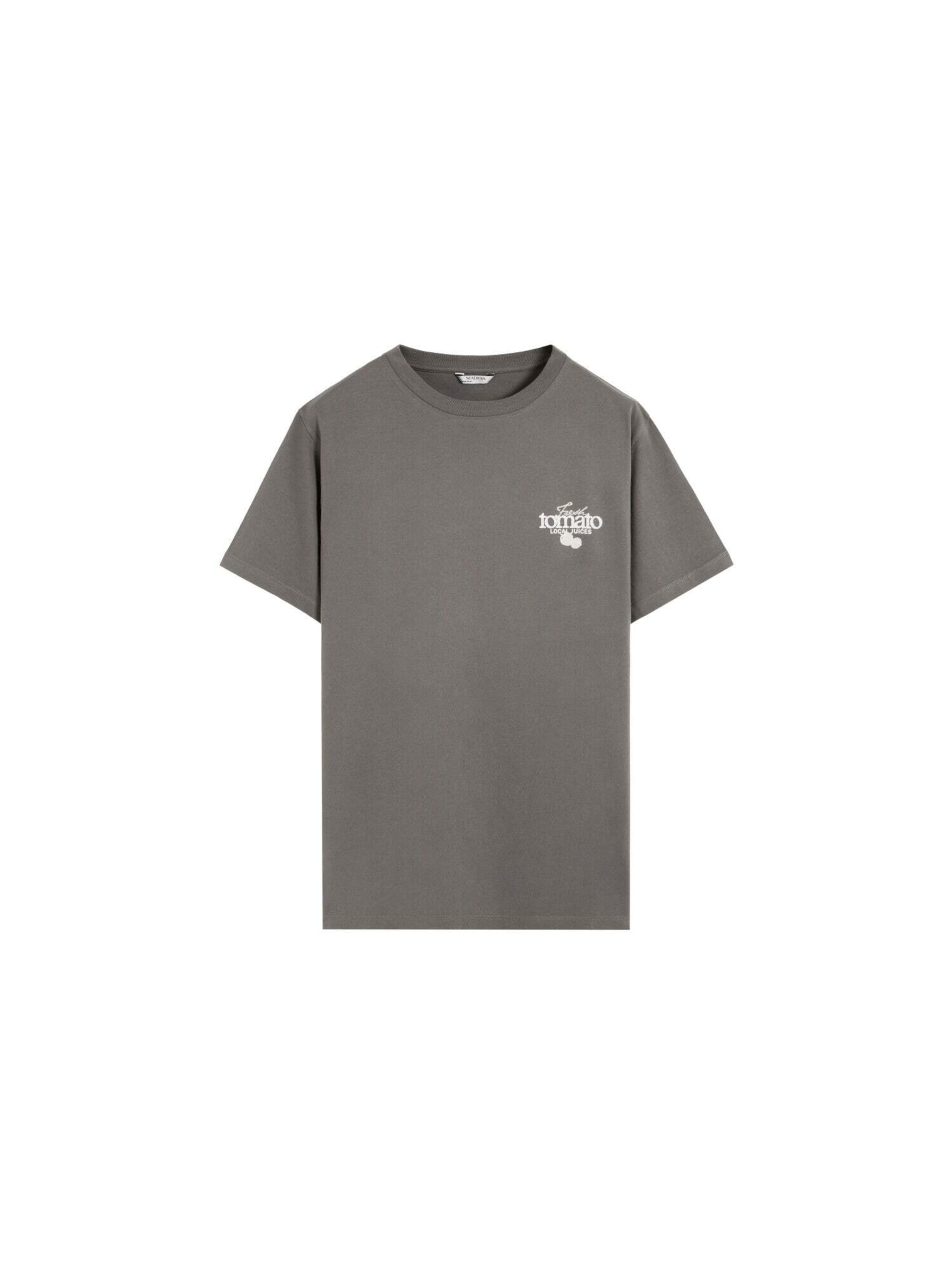 Scalpers T-Shirt 'Tomato' in Grau: Vorderseite