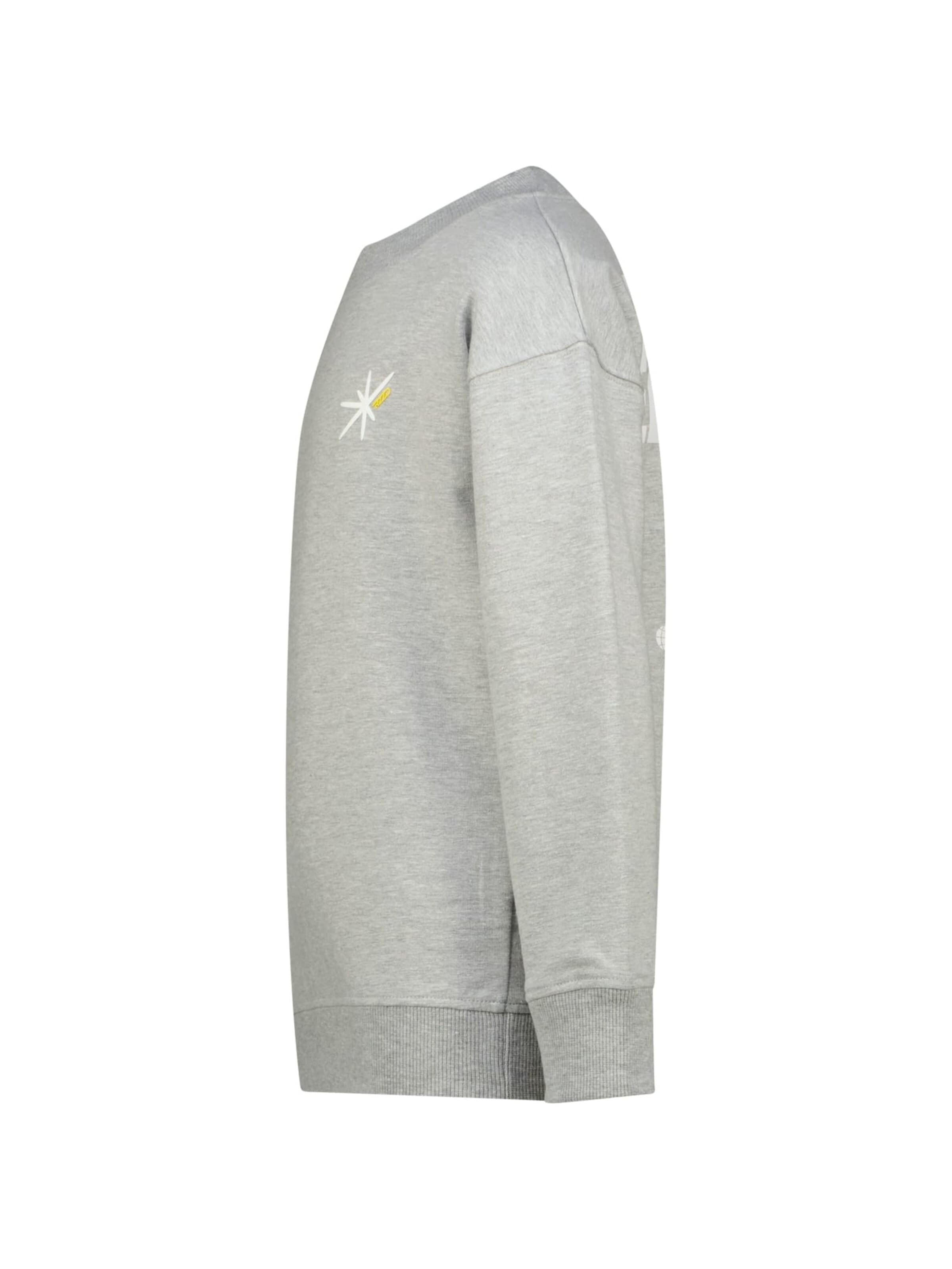 Raizzed Sweater in Grey