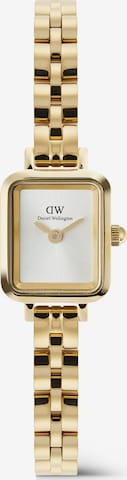 Daniel Wellington Analoguhr in Gold: Vorderseite
