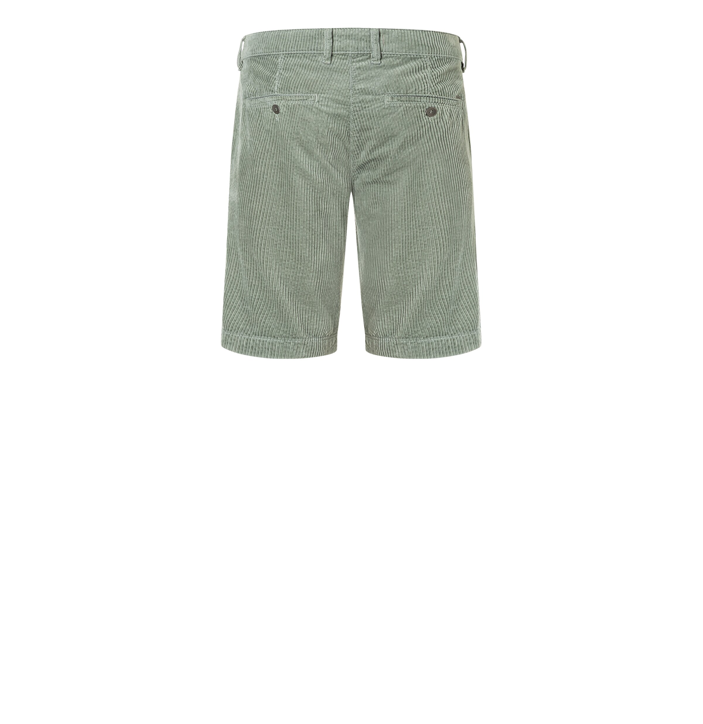 MAC Regular Pants in Green