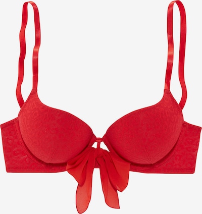 VIVANCE Grudnjak u crvena, Pregled proizvoda