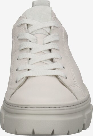 Paul Green Sneaker in Grau