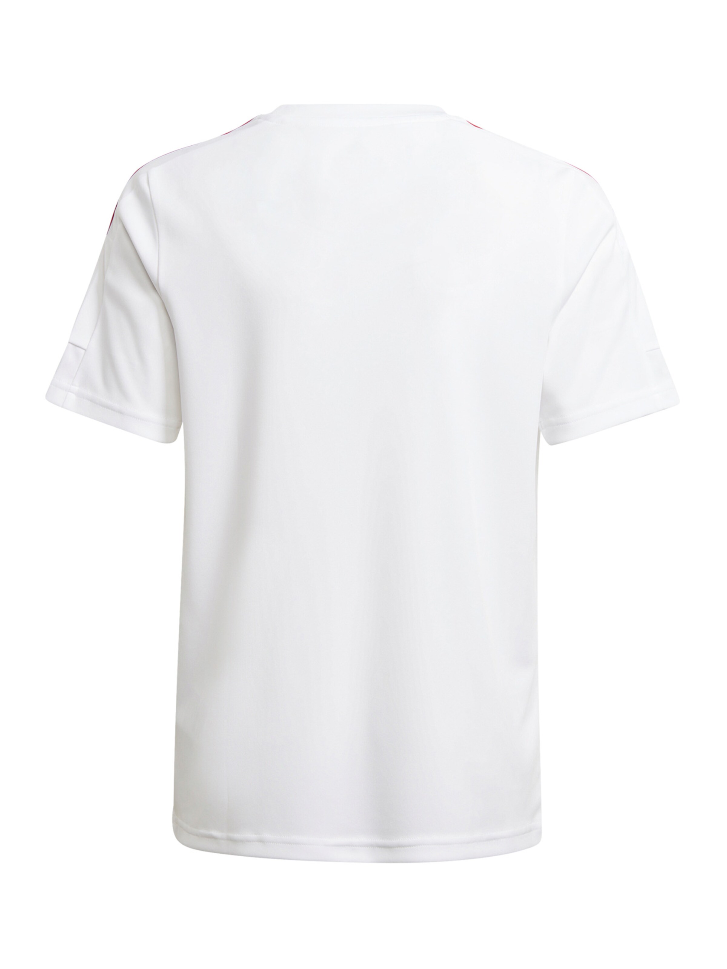 ADIDAS PERFORMANCE Trikot 'Squadra 21' in Weiß