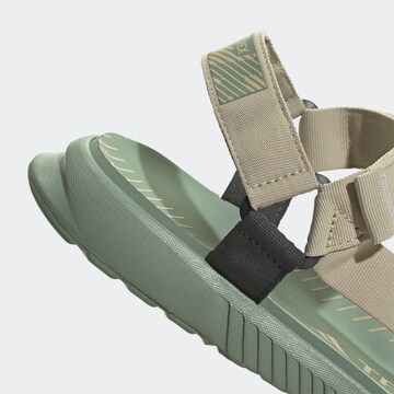 ADIDAS TERREX Sandals in Green