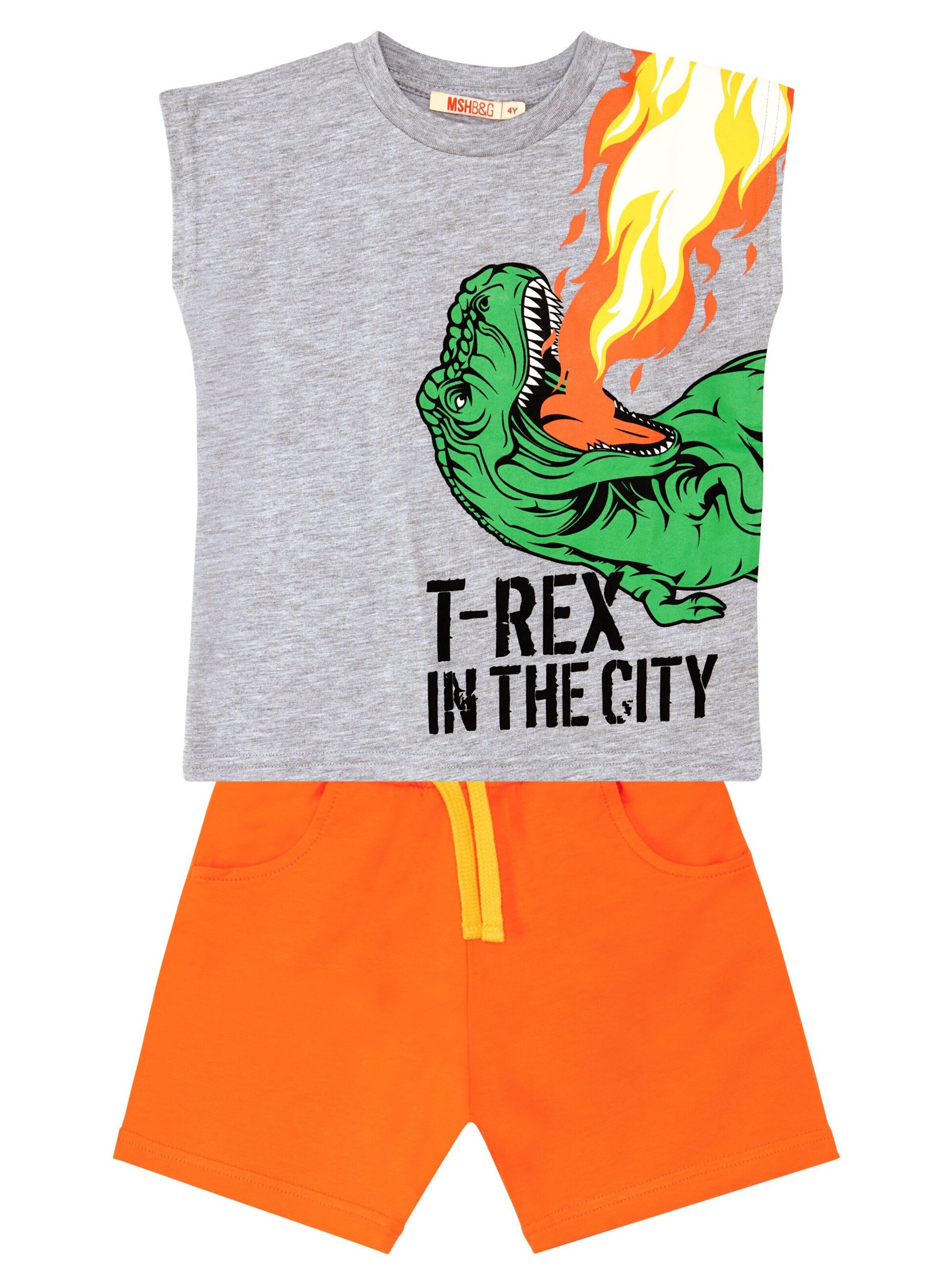Denokids Set 'T-Rex Flame' in Grau: Vorderseite