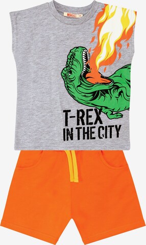 DENO Kids Tracksuit 'T-Rex Flame' in Grey: front