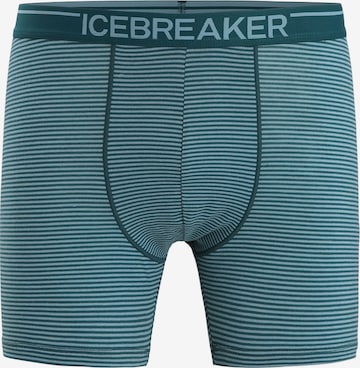 ICEBREAKER - Calzoncillo deportivo 'Anatomica' en verde: frente