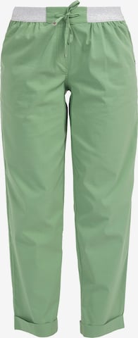 HELMIDGE Pants in Green: front