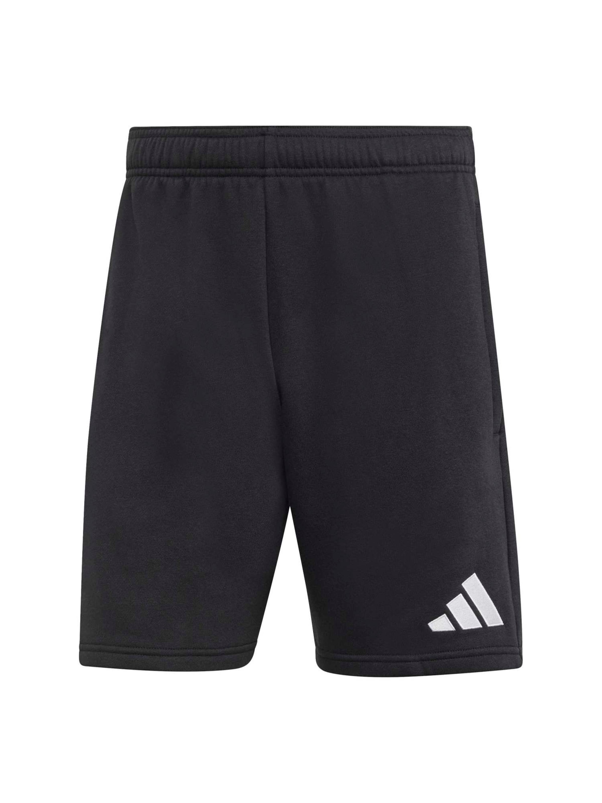 ADIDAS PERFORMANCE Regular Sportbroek in Zwart: voorkant