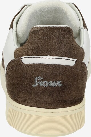 SIOUX Sneakers laag 'Tedroso-704' in Bruin