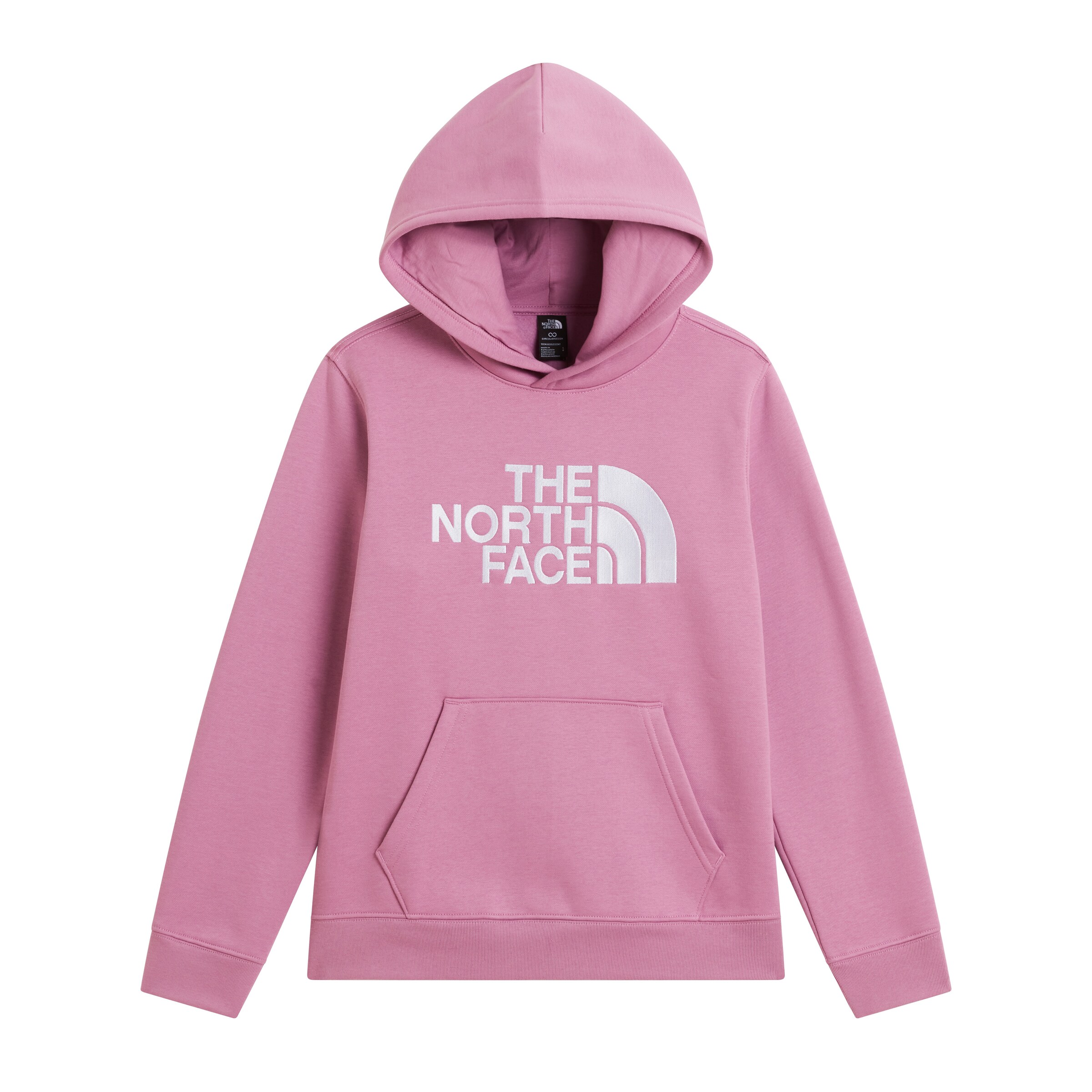 THE NORTH FACE Athletic Sweatshirt in Pink: front