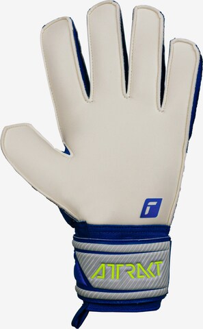 REUSCH Athletic Gloves 'Attrakt Solid' in Blue