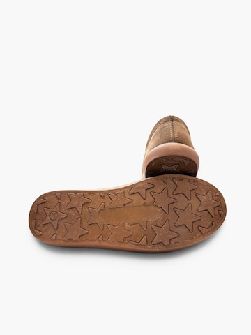 Chaussure basse Pisamonas en gris