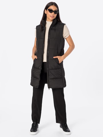 Superdry Vest in Black