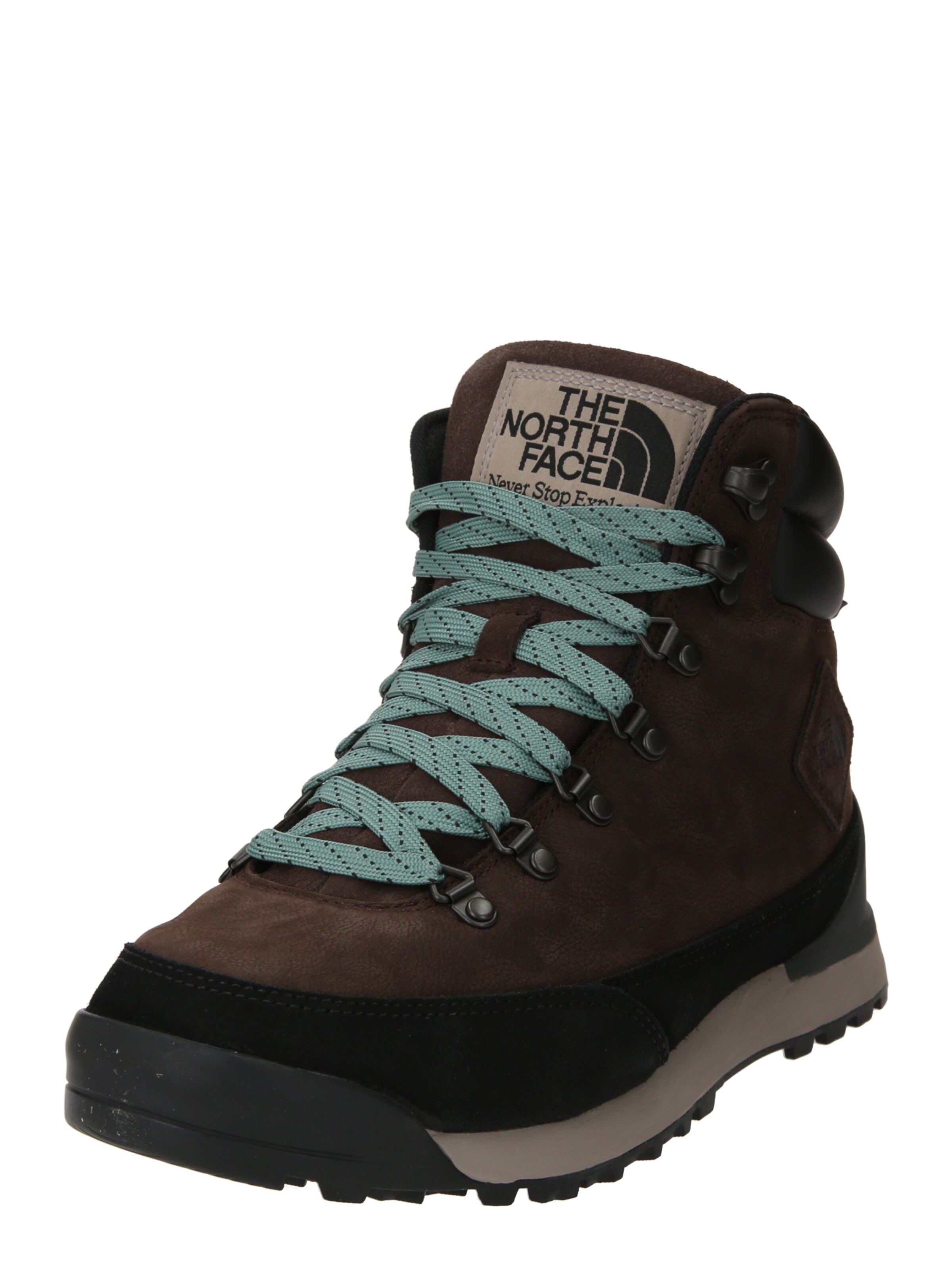 THE NORTH FACE Boots med snörning 'Back To Berkeley IV' i brun: framsida