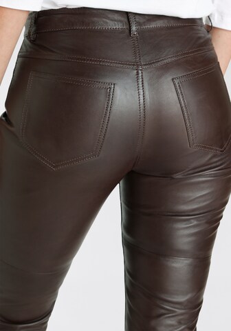 Gipsy Regular Pants in Brown