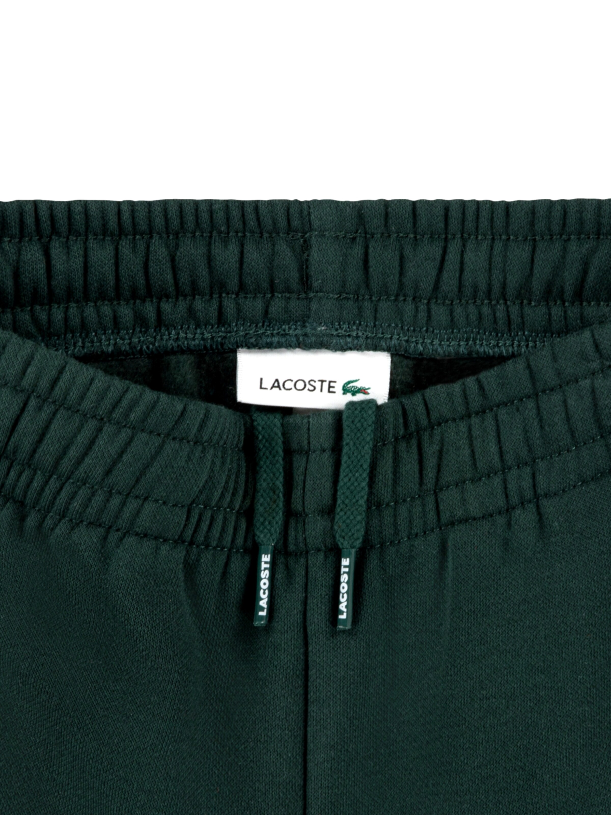 regular Pantaloni di LACOSTE in verde