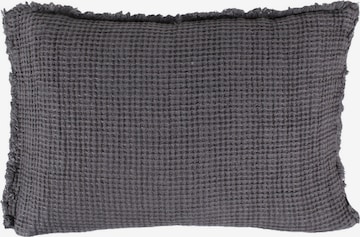 ZOEPPRITZ Pillow 'Honeybee' in Grey: front