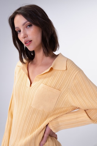 Aligne Sweater 'Granada' in Yellow